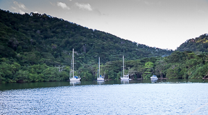 Sailboats Anchored in Scotland Bay.