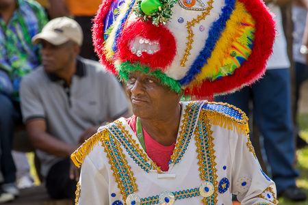 Carnival, The Old Yard - 2014, Trinidad